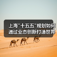 上海 上海