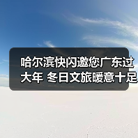 哈尔滨快闪邀您广东过大年 冬日文旅暖意十足(图2) 哈尔滨快闪邀您广东过大年 冬日文旅暖意十足(图2)