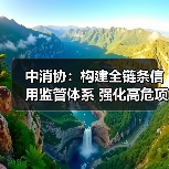 中消协:构建全链条信用监管体系 强化高危项目安全准入与动态监管(图2) 中消协:构建全链条信用监管体系 强化高危项目安全准入与动态监管(图2)