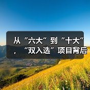 从“六大”到“十大”,“双入选”项目背后的文化密码(图1) 从“六大”到“十大”,“双入选”项目背后的文化密码(图1)