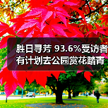 胜日寻芳 93.6%受访者有计划去公园赏花踏青（图4）