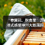 “春赏花、秋食果”沉浸式感受神州大地满园春色和澎湃活力