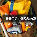 春天里的中国欣欣向荣(图4) 春天里的中国欣欣向荣(图4)