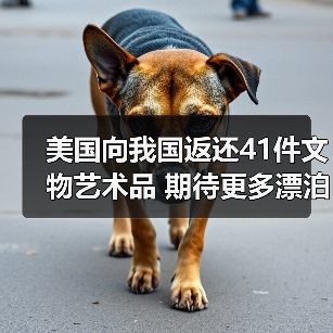 美国向我国返还41件文物艺术品 期待更多漂泊海外的文物回家