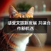 感受文旅新发展 共谋合作新机遇(图4) 感受文旅新发展 共谋合作新机遇(图4)