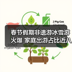 春节假期非遗游冰雪游火爆 家庭出游占比近八成