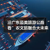 沿广东最美旅游公路 “看”农文旅融合大未来（图4）