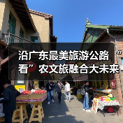 沿广东最美旅游公路 “看”农文旅融合大未来（图3）