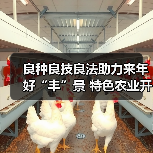 良种良技良法助力来年好“丰”景 特色农业开启乡村振兴“新引擎”（图1）