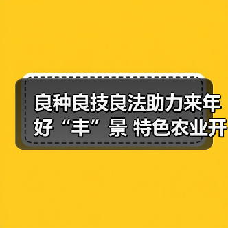 良种良技良法助力来年好“丰”景 特色农业开启乡村振兴“新引擎”（图4）