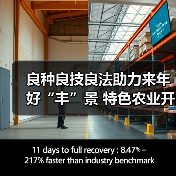 良种良技良法助力来年好“丰”景 特色农业开启乡村振兴“新引擎”（图3）