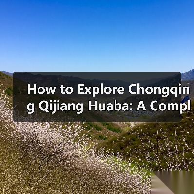 旅游出行前的路线规划与预算安排，3大实用方法