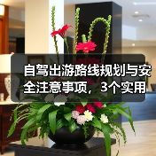 自驾出游路线规划与安全注意事项，3个实用方法（图2）