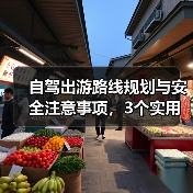 自驾出游路线规划与安全注意事项，3个实用方法（图3）