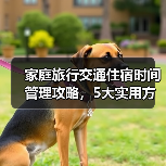 家庭旅行交通住宿时间管理攻略，5大实用方法全解析（图3）