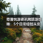奇漫悦游资讯网旅游攻略：5个日常经验从需求判断到维护（图4）