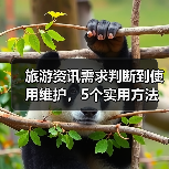 旅游资讯需求判断到使用维护,5个实用方法让你旅行不踩坑(图3) 旅游资讯需求判断到使用维护,5个实用方法让你旅行不踩坑(图3)